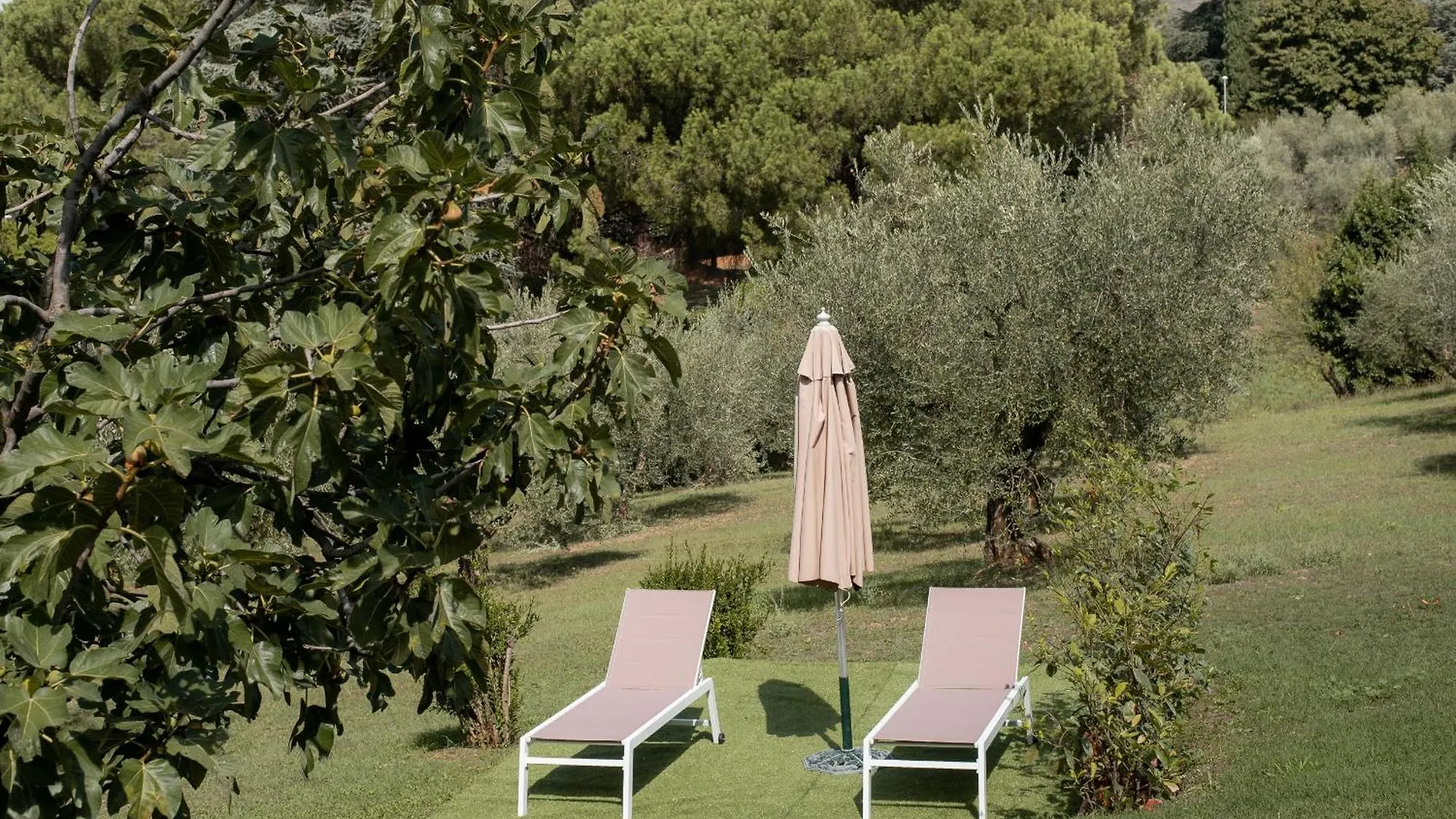 Big Family Villa In Rome Countryside Rocca Di Papa